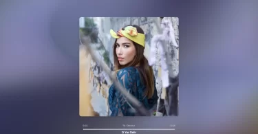 Burcu Güneş - O Yar Gelir Şarkı Sözleri