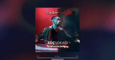 Cash Flow - Hergün Bela Devam Şarkı Sözleri
