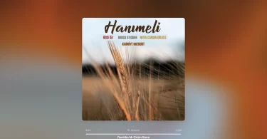 Hanımeli - Darıldın mı Cicim Bana Şarkı Sözleri