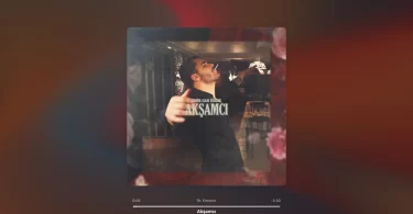 Emir Can İğrek - Akşamcı Şarkı Sözleri