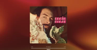 Erkin Koray - Şaşkın Şarkı Sözleri