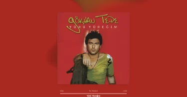 Gökhan Tepe - Yürü Yüreğim Şarkı Sözleri