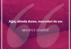 Ağaç altında duran meyveleri de yer. Arnavut Atasözü