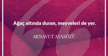 Ağaç altında duran meyveleri de yer. Arnavut Atasözü