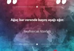 Ağaç bar verende başını aşağı eğer. Azerbaycan Atasözü