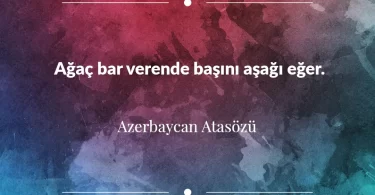 Ağaç bar verende başını aşağı eğer. Azerbaycan Atasözü