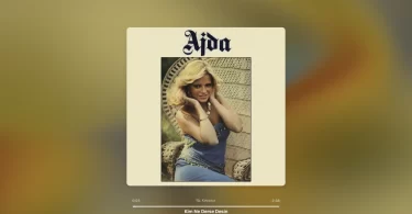 Ajda Pekkan - Kim Ne Derse Desin Şarkı Sözleri