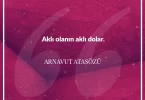 Aklı olanın aklı dolar. Arnavut Atasözü