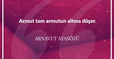 Armut tam armutun altına düşer. Arnavut Atasözü