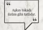 Aşkın tokadı üzüm gibi tatlıdır. Afrika Atasözü