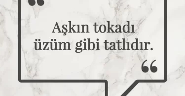 Aşkın tokadı üzüm gibi tatlıdır. Afrika Atasözü