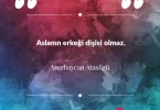 Aslanın erkeği dişisi olmaz. Azerbaycan Atasözü