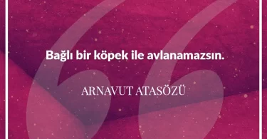 Bağlı bir köpek ile avlanamazsın. Arnavut Atasözü
