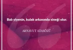 Balı yiyenin kulak arkasında sineği olur. Arnavut Atasözü