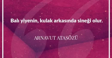 Balı yiyenin kulak arkasında sineği olur. Arnavut Atasözü