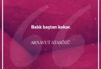Balık baştan kokar. Arnavut Atasözü