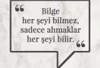 Bilge her şeyi bilmez, sadece ahmaklar her şeyi bilir. Afrika Atasözü