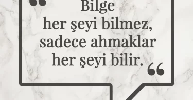 Bilge her şeyi bilmez, sadece ahmaklar her şeyi bilir. Afrika Atasözü