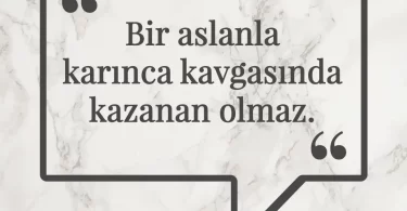 Bir aslanla karınca kavgasında kazanan olmaz. Afrika Atasözü