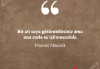 Bir atı suya götürebilirsiniz ama ona zorla su içiremezsiniz. Fransız Atasözü