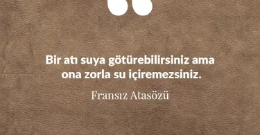 Bir atı suya götürebilirsiniz ama ona zorla su içiremezsiniz. Fransız Atasözü