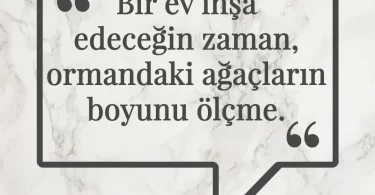 Bir ev inşa edeceğin zaman, ormandaki ağaçların boyunu ölçme. Afrika Atasözü