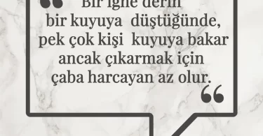 Bir iğne derin bir kuyuya düştüğünde, pek çok kişi kuyuya bakar ancak çıkarmak için çaba harcayan az olur. Afrika Atasözü