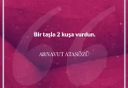 Bir taşla 2 kuşa vurdun. Arnavut Atasözü