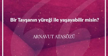 Bir tavşanın yüreği ile yasayabilir misin? Arnavut Atasözü