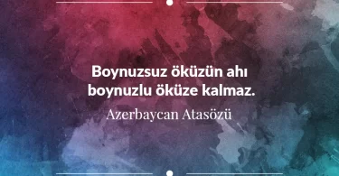Boynuzsuz öküzün ahı boynuzlu öküze kalmaz. Azerbaycan Atasözü