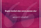 Bugün tembel olan sonra pişman olur. Arnavut Atasözü