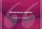 Bulandırılmazsa aklanmaz. Arnavut Atasözü