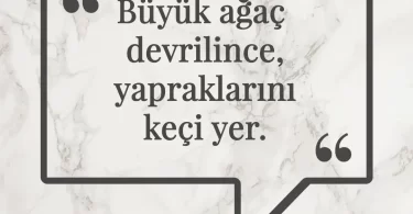 Büyük ağaç devrilince, yapraklarını keçi yer. Afrika Atasözü