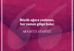 Büyük ağaca yaslanan her zaman gölge bulur. Arnavut Atasözü