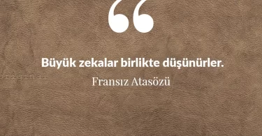Büyük zekalar birlikte düşünürler. Fransız Atasözü