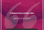 Çalışana hava yardım eder. Arnavut Atasözü