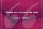 Çalışarak vücut ögrenerek akıl yapılır. Arnavut Atasözü