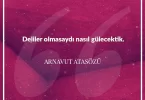 Deliler olmasaydı nasıl gülecektik. Arnavut Atasözü