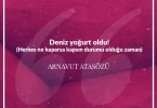 Deniz yoğurt oldu (Herkes ne kaparsa kapsın durumu olduğu zaman.) Arnavut Atasözü