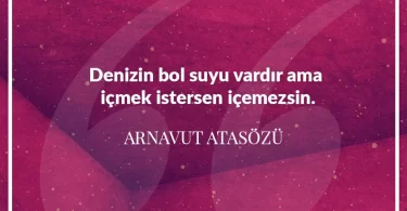 Denizin bol suyu vardır ama içmek istersen içemezsin. Arnavut Atasözü