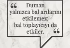 Duman yalnızca bal arılarını etkilemez; bal toplayıcıyı da etkiler. Afrika Atasözü