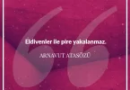 Eldivenler ile pire yakalanmaz. Arnavut Atasözü