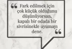 Fark edilmek için çok küçük olduğunu düşünüyorsan, kapalı bir odada bir sivrisinekle uyumayı dene. Afrika Atasözü