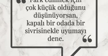 Fark edilmek için çok küçük olduğunu düşünüyorsan, kapalı bir odada bir sivrisinekle uyumayı dene. Afrika Atasözü