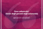 Gece yabancıdır senin değil (Güvenli değil anlamında.) Arnavut Atasözü