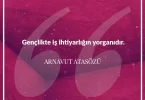 Gençlikte iş ihtiyarlığın yorganıdır. Arnavut Atasözü
