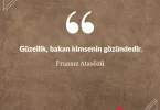 Güzellik, bakan kimsenin gözündedir. Fransız Atasözü