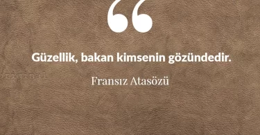 Güzellik, bakan kimsenin gözündedir. Fransız Atasözü