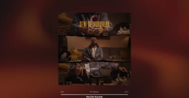 Hayki - Seni De Vururlar Şarkı Sözleri