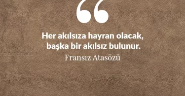 Her akılsıza hayran olacak, başka bir akılsız bulunur. Fransız Atasözü